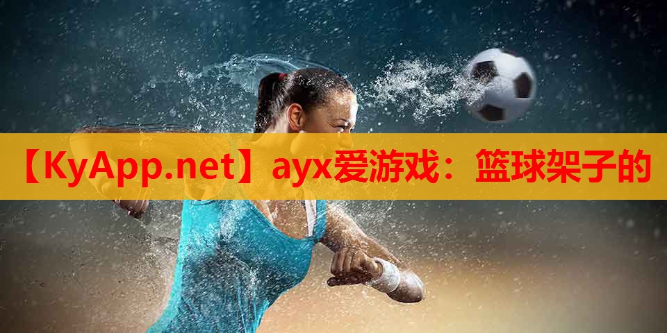 篮球架子的