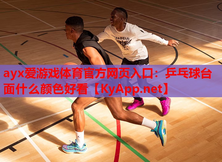 乒乓球台面什么颜色好看