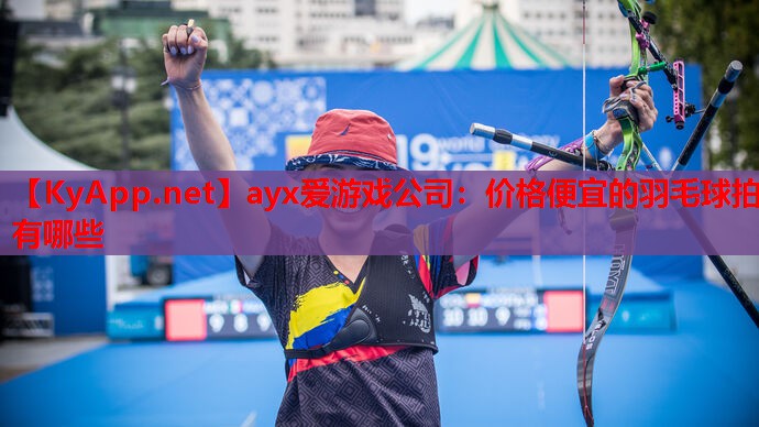 价格便宜的羽毛球拍有哪些