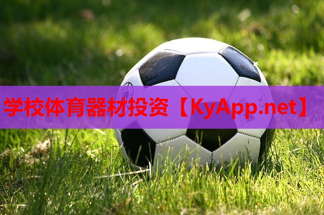 学校体育器材投资