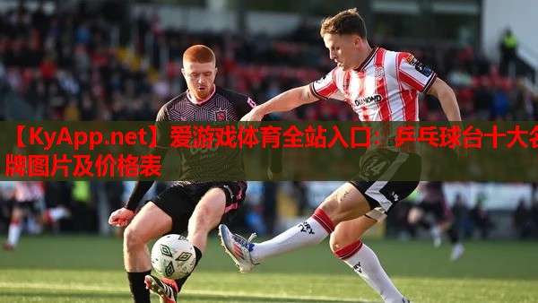 乒乓球台十大名牌图片及价格表