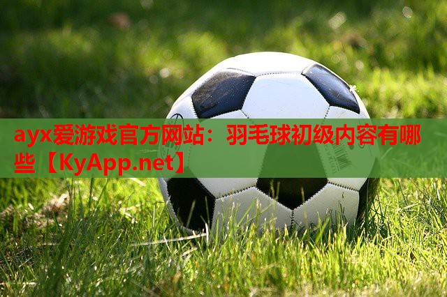 羽毛球初级内容有哪些