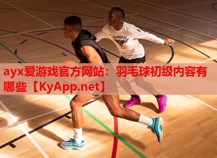 羽毛球初级内容有哪些