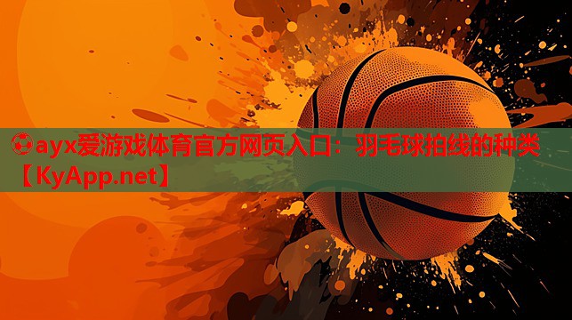 羽毛球拍线的种类