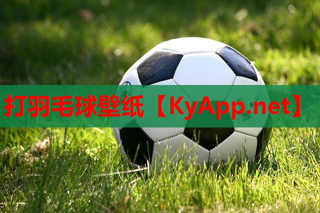 打羽毛球壁纸