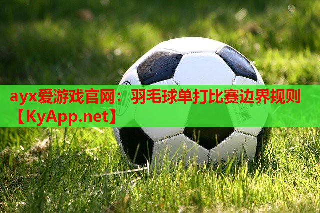 羽毛球单打比赛边界规则