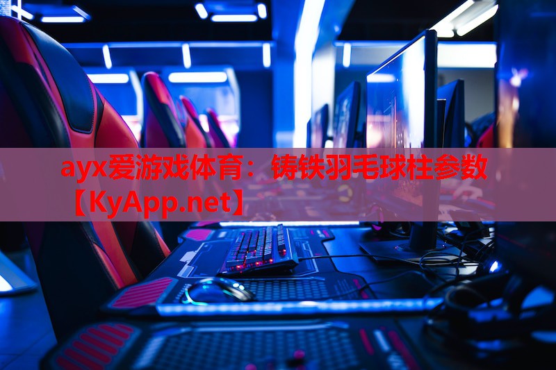 铸铁羽毛球柱参数