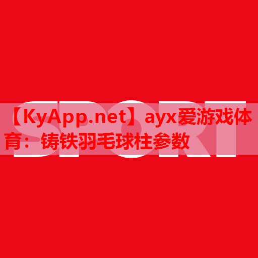 铸铁羽毛球柱参数