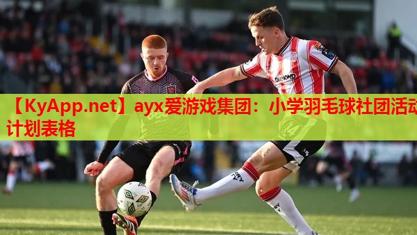 小学羽毛球社团活动计划表格