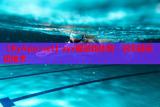 羽毛球运动技术