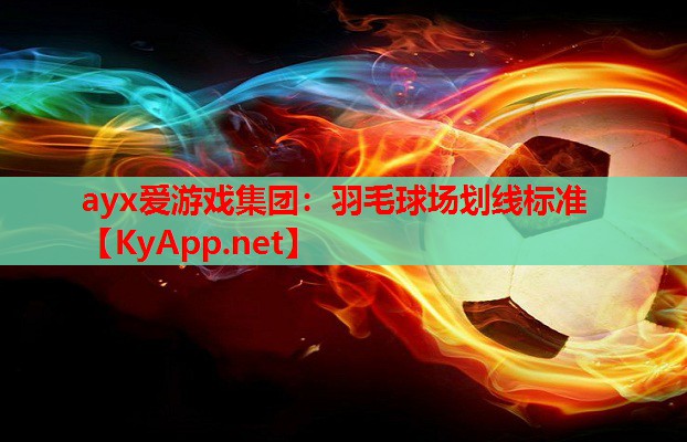 羽毛球场划线标准