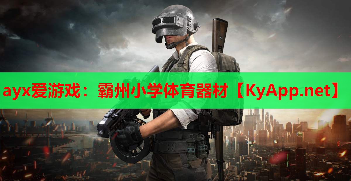 霸州小学体育器材