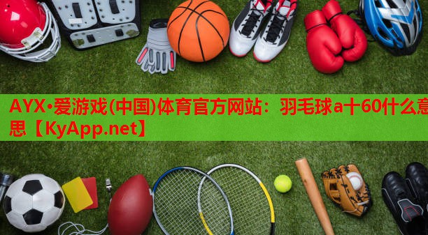 羽毛球a十60什么意思