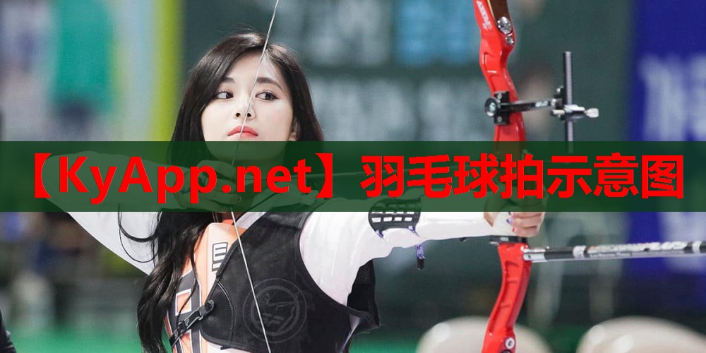 羽毛球拍示意图