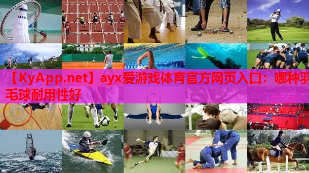 哪种羽毛球耐用性好